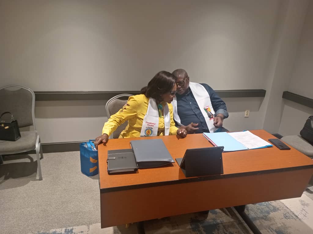 USA CPDM taskforce report